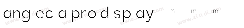 Anglecia Pro Display字体转换